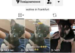 An account with content monetization and Live Studio